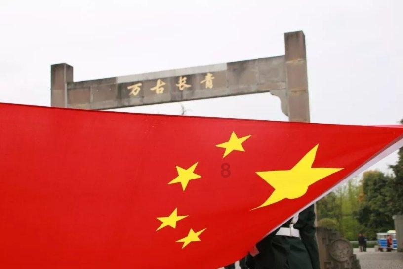 吃茄子对人身体的益处有哪些?为什么?-专业问答平台